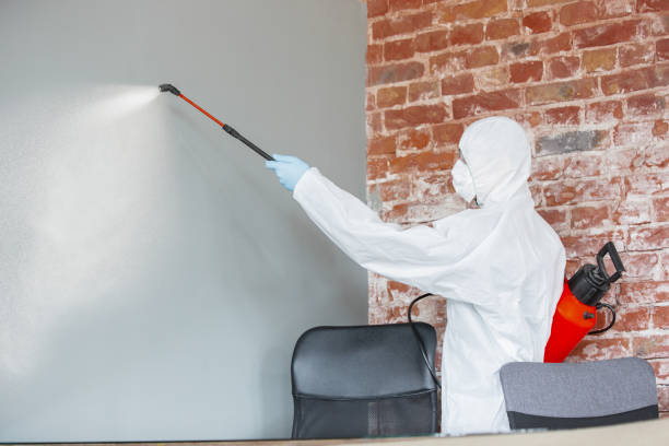 Best Dehumidification Services  in Pompton Plains, NJ