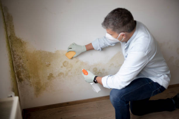 Best Indoor Air Quality Assessment  in Pompton Plains, NJ