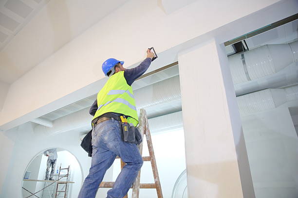 Best Black Mold Removal  in Pompton Plains, NJ