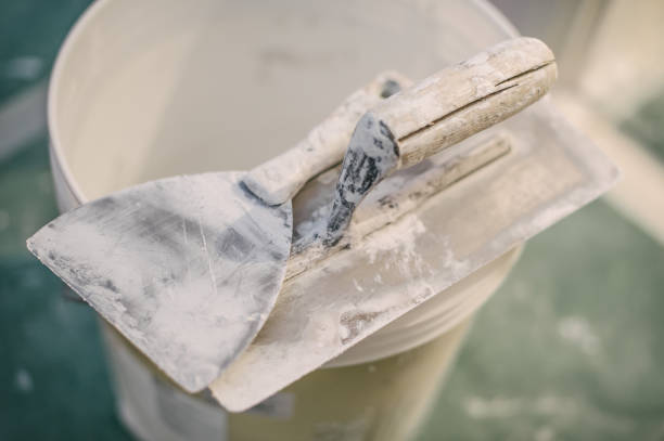 Reliable Pompton Plains, NJ Mold Removal Solutions